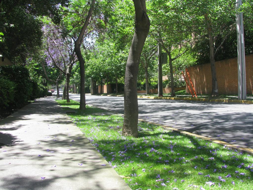 Caburga *